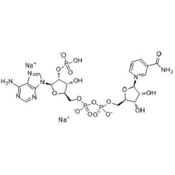 β-Nicotinamide Adenine Dinucleotide Phosphate Disodium Salt(β-NADP-2Na);CAS NO.: 24292-60-2