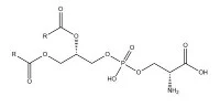 Aký je trhový dopyt po kyseline N-acetylneuramínovej (CAS č. 131-48-6)?